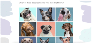 Screenshot of student survey asking students what their mood is, with pictures of dogs